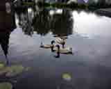 HAL 2001 Photo 44