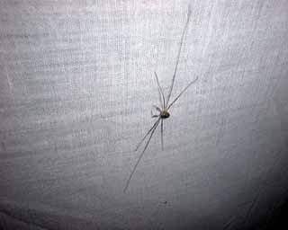 HAL 2001 Photo 65