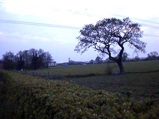 Capenhurst Photo 01