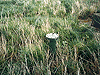 Darton ROC Photo 06
