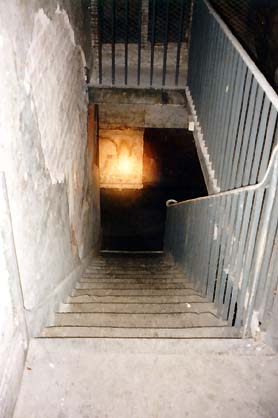 Paull Photo 08